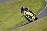 Lower Group Yellow Bikes